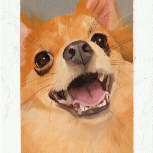 DOGGI