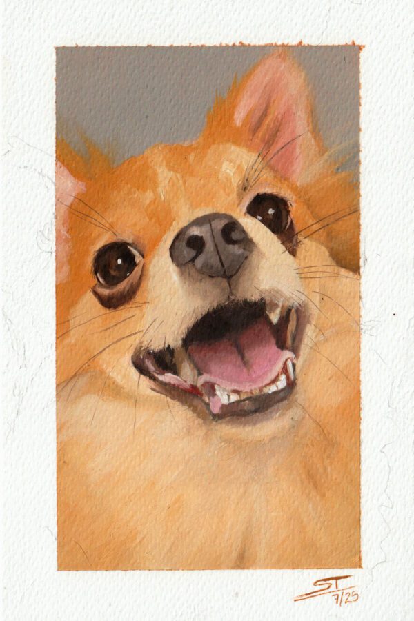 DOGGI