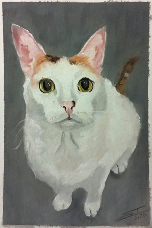 GATO 1