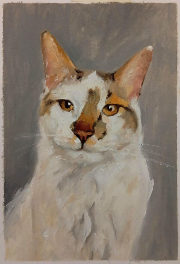 GATO 3
