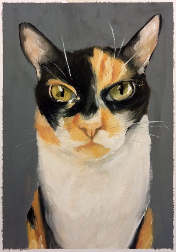 GATO 2